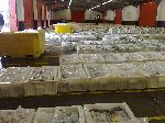 Scrabster Fishmarket