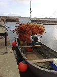 Unloading the Nets